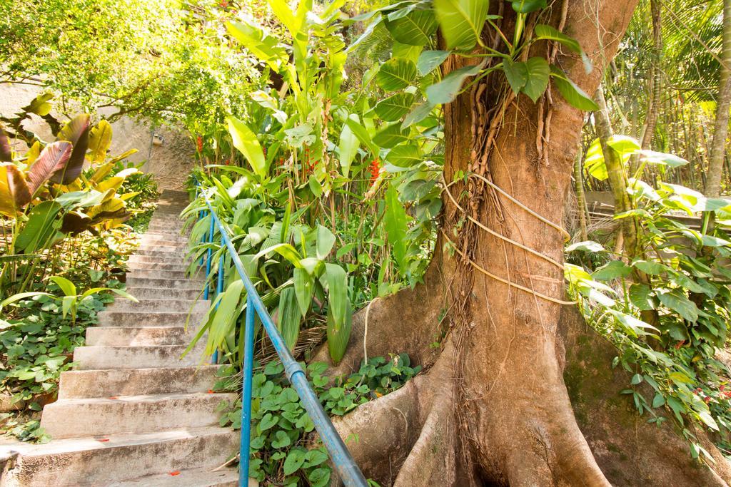 Rio Nature Hostel Ρίο ντε Τζανέιρο Εξωτερικό φωτογραφία